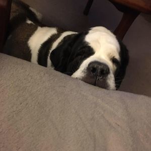 Meet your Posher, Georgette